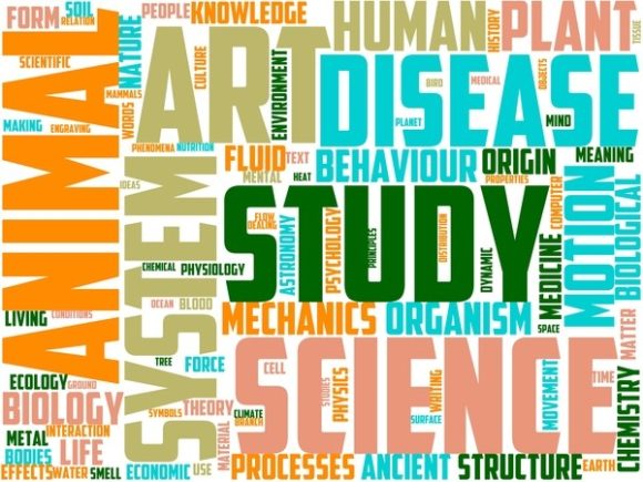 Nostology Wordart Tshirt.jpg: A Hand-Drawn Wordcloud That Fits Real Creative Work