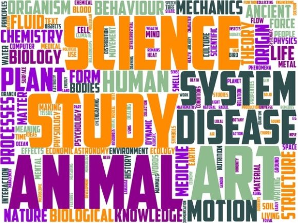 Nymphology Wordart Banner