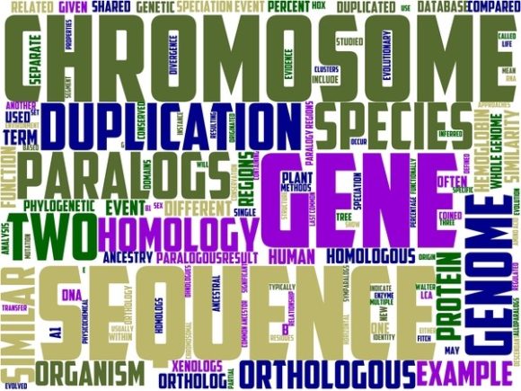Ohnology Wordart Tumbler.jpg: A Hand-Drawn Word Cloud That Works Harder Than You Think