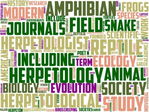 Ophidiology Wordart Tshirt.jpg