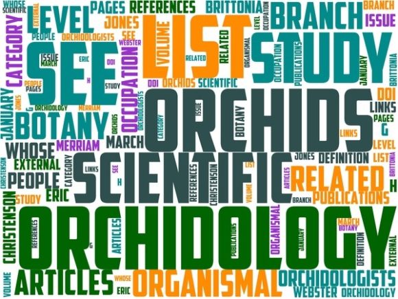 Orchidology Wordart Wallpaper.jpg