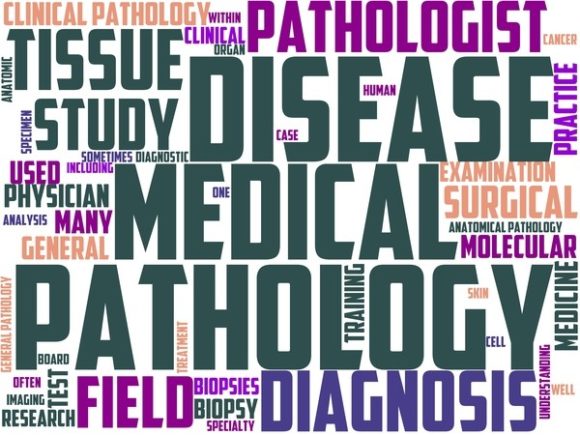Orthology Wordart Wallpaper: Hand-Drawn Inspiration for Modern Creative Work