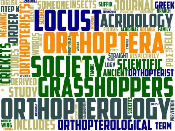 Orthopterology Wordart Tumbler