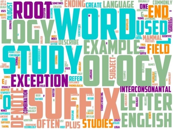 Ovology Wordart Sticker: Your Hand-Drawn Spark for Real-Life Creativity