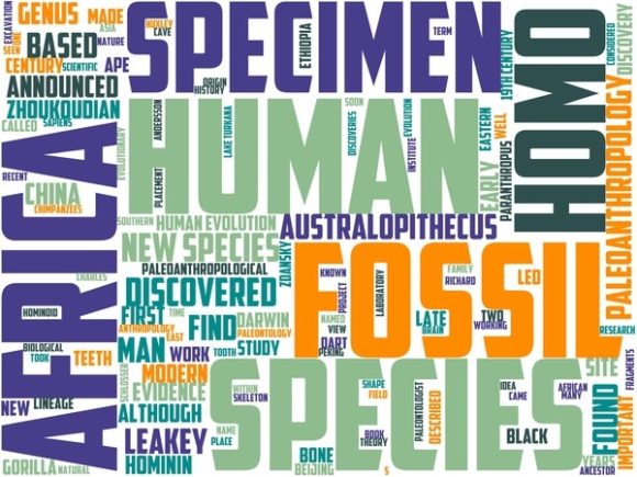 Paleoanthropology Wordart Print: Where Science Meets Creative Expression