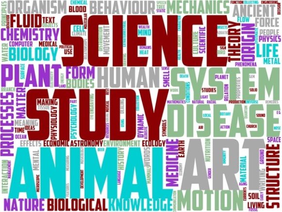 Piscatology Wordart Book Cover: A Vibrant Hand-Drawn Word Cloud for Creative Expression