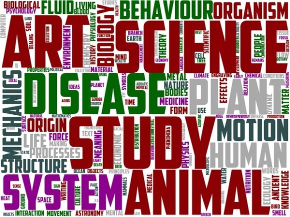 Pterylology Wordart Sublimation