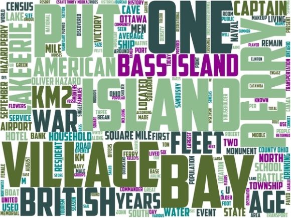 Put in Bay Wordart Tshirt: A Versatile, Hand-Drawn Word Cloud for Creative Professionals
