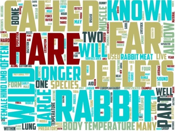 Rabat Wordart Tumbler: A Hand-Drawn Word Cloud for Creative Projects