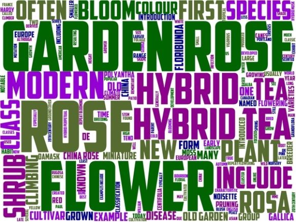 Rose Grower Wordart Wallpaper